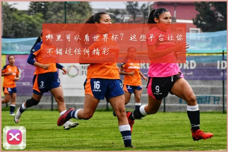 哪里可以看世界杯？这些平台让你不错过任何精彩