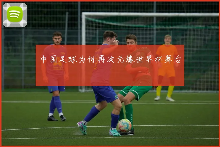 中国足球为何再次无缘世界杯舞台