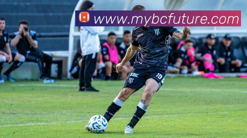 环球体育平台官网发展历程